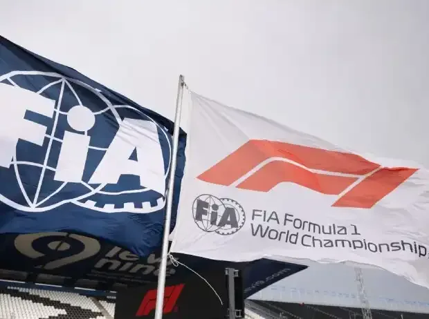 Titel-Bild zur News: Flaggen: FIA, Formel 1