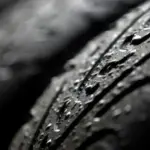 Rain in Miami: Why Formula 1 Could Even Benefit From It